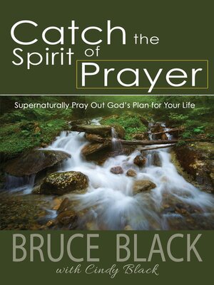 cover image of Catch the Spirit of Prayer
